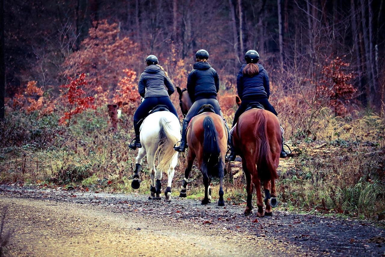 horses-7674277_1280